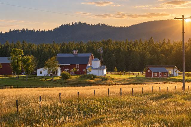 Gorgeous Farm