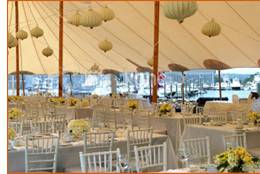 Wedding reception