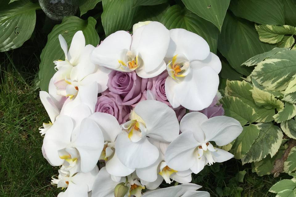 Orchid Bouquet