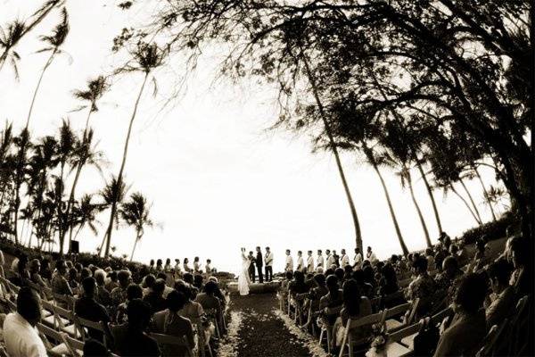 Wedding venue