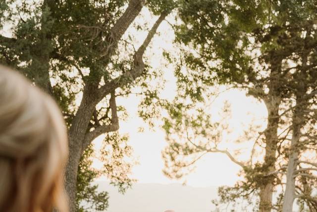 Highlands Ranch Mansion, CO