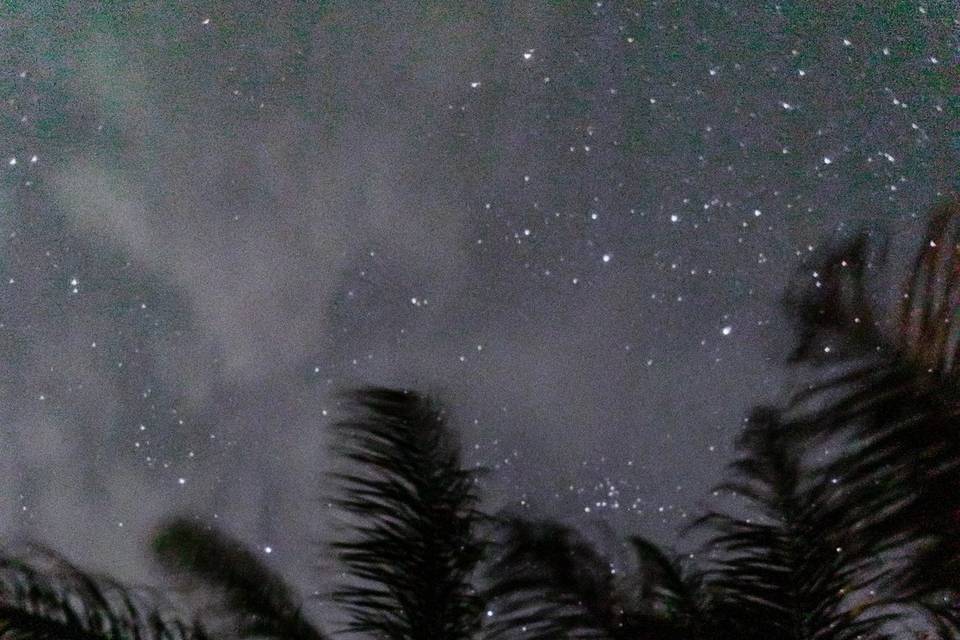 Starry starry night