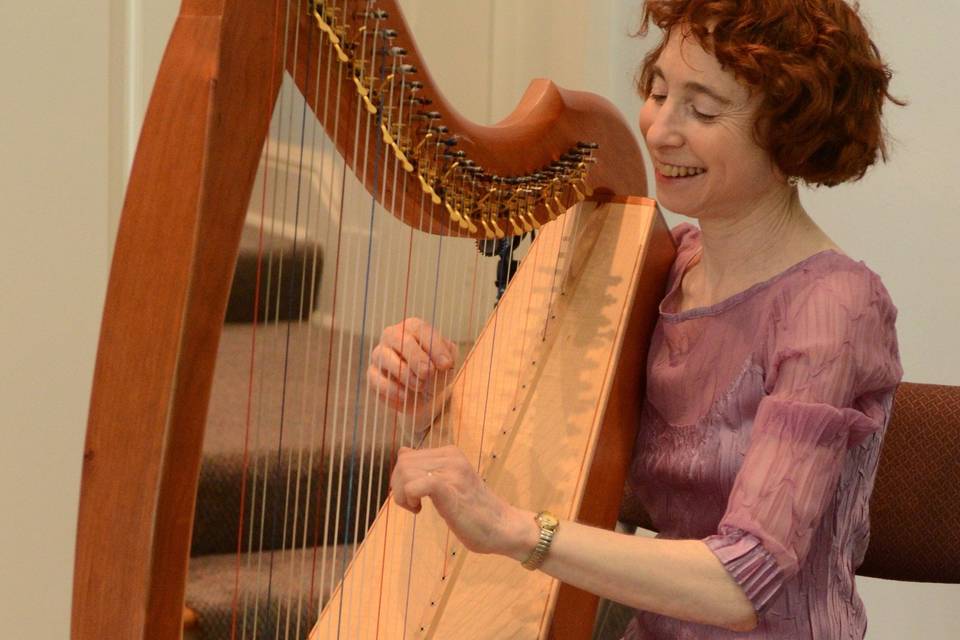 Sabrina Falls - Harpist