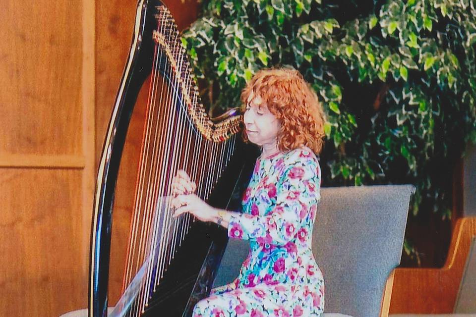 Sabrina Falls - Harpist