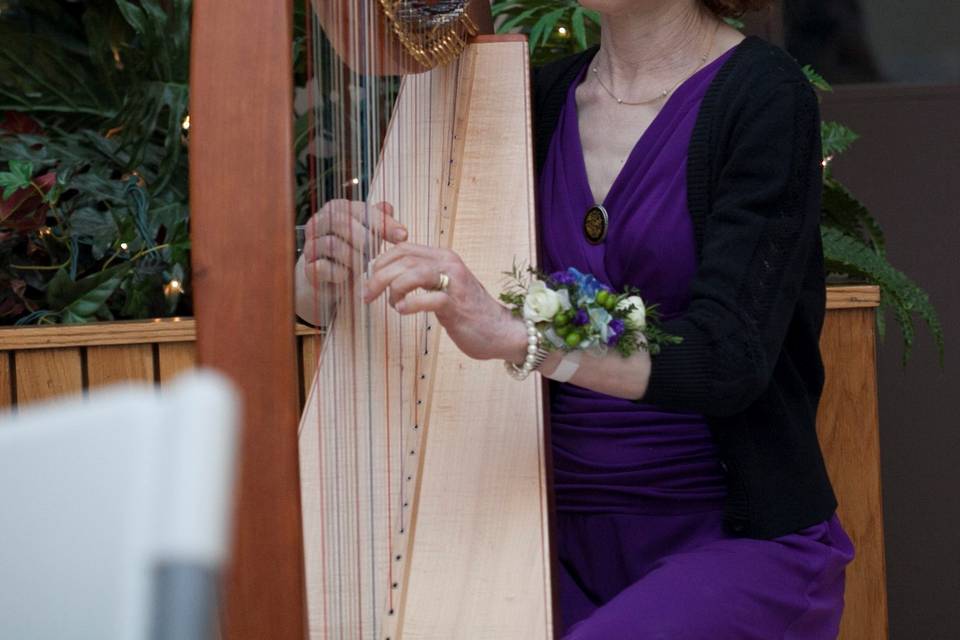 Sabrina Falls - Harpist