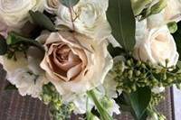 Eucalyptus and quicksand roses