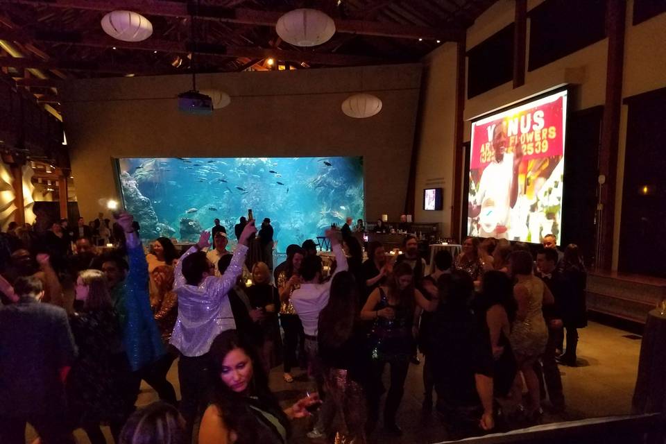 Seattle aquarium event