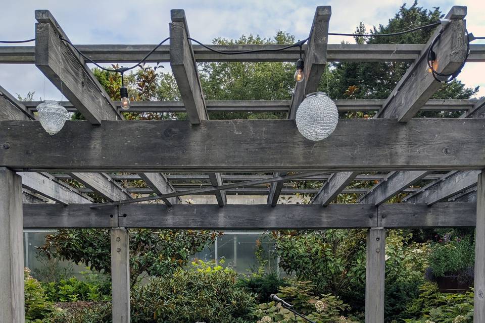 Washington Park Arboretum