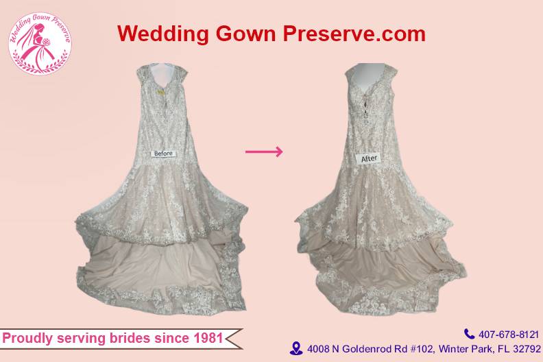 Wedding Gown Preserve