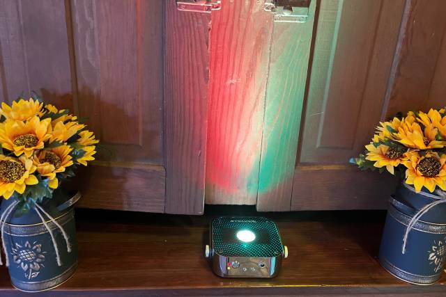 Flowers and Lighting
