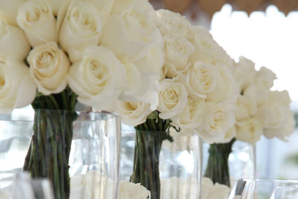 Ced&m Weddings