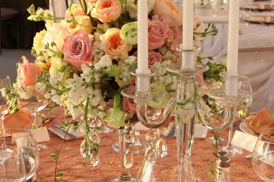 Ced&m Weddings