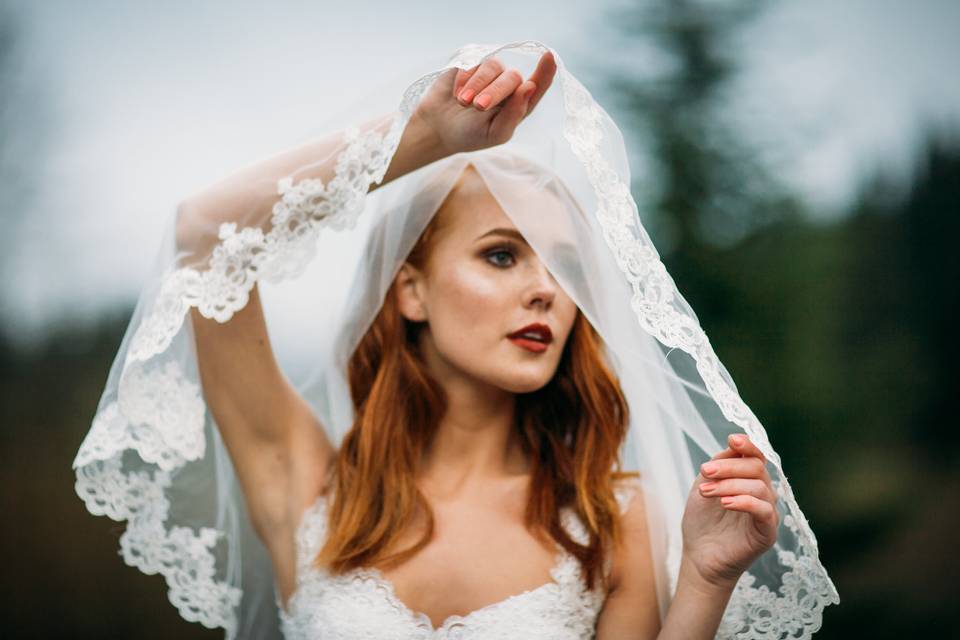 Designer Bridal Veils - Custom Bridal Veils, Dream Dresses by PMN