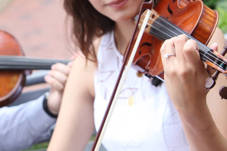 Violin in the park