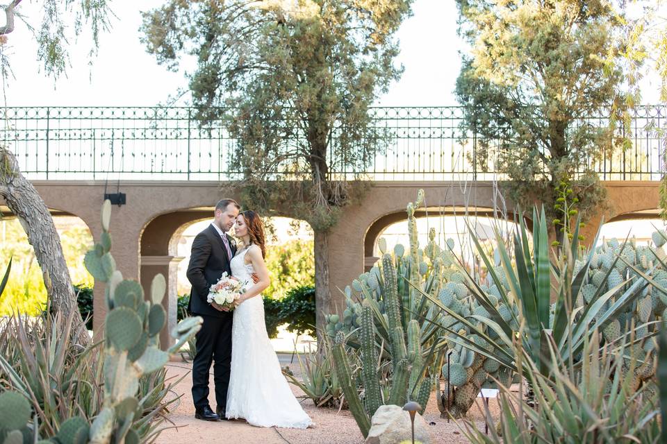 Cactus Garden