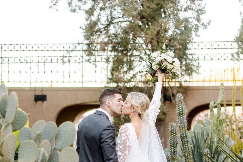 Cactus Garden