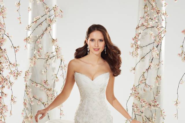 Sophia Tolli 2018 Wedding Dresses