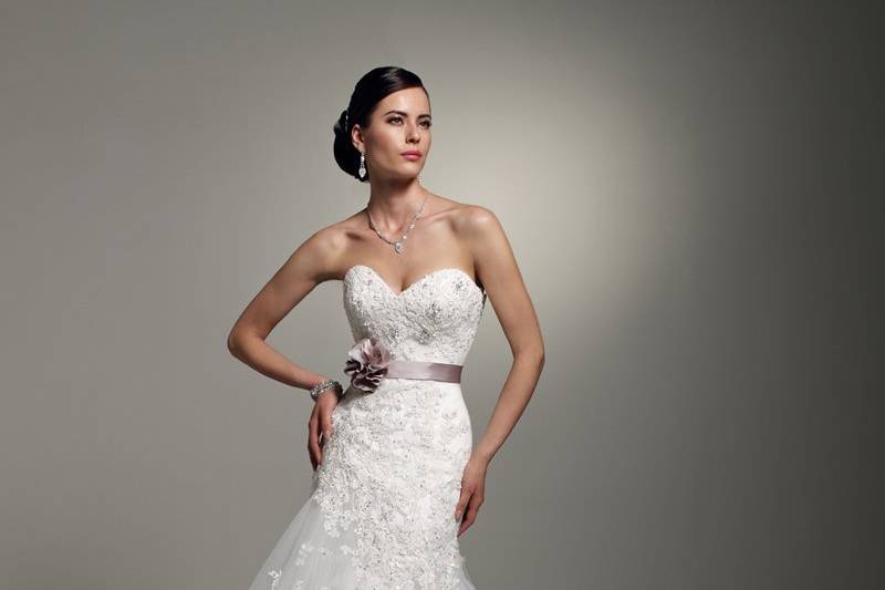 Sophia Tolli