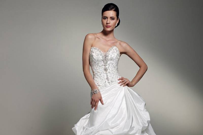 Sophia Tolli