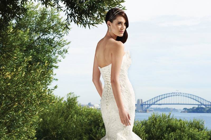 Sophia Tolli