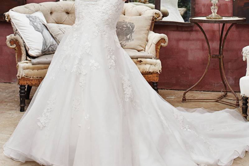 Sophia Tolli