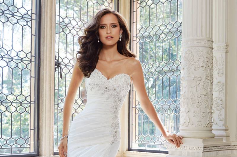 Sophia Tolli