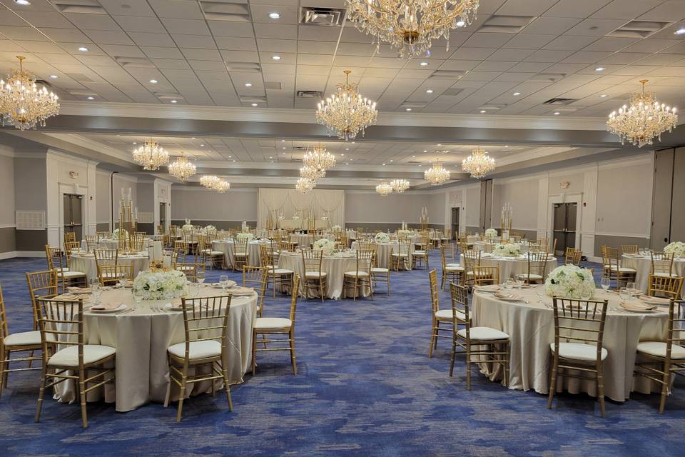 White and Ivory Reception