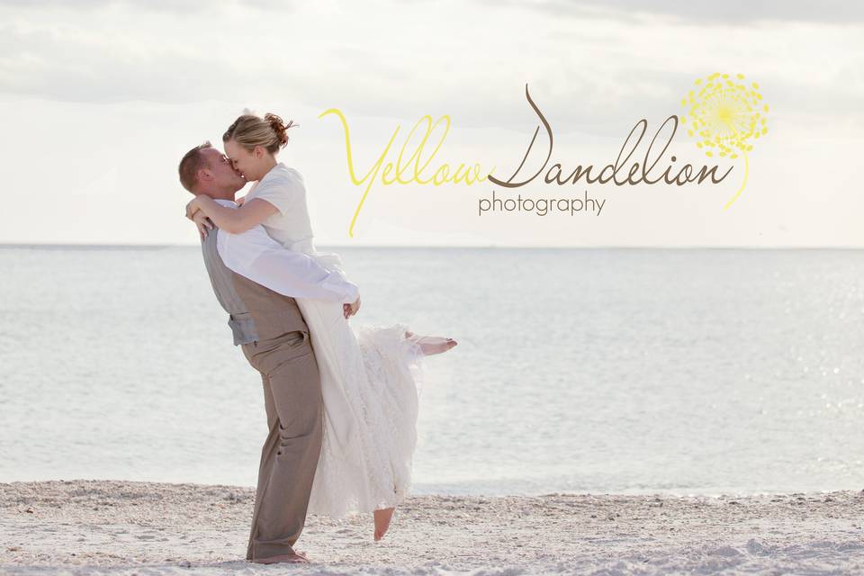 Yellow Dandelion Photography