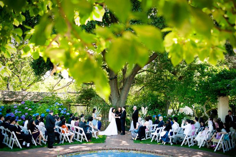 Wedding ceremony