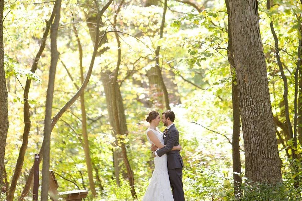 The Morton Arboretum