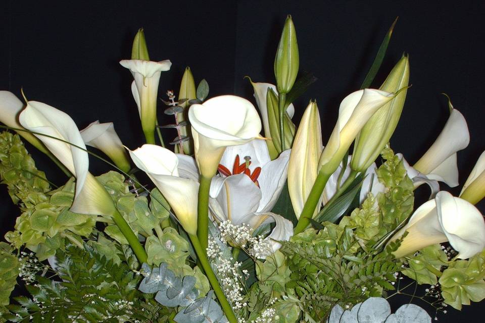 Monica Zumstein Event Management