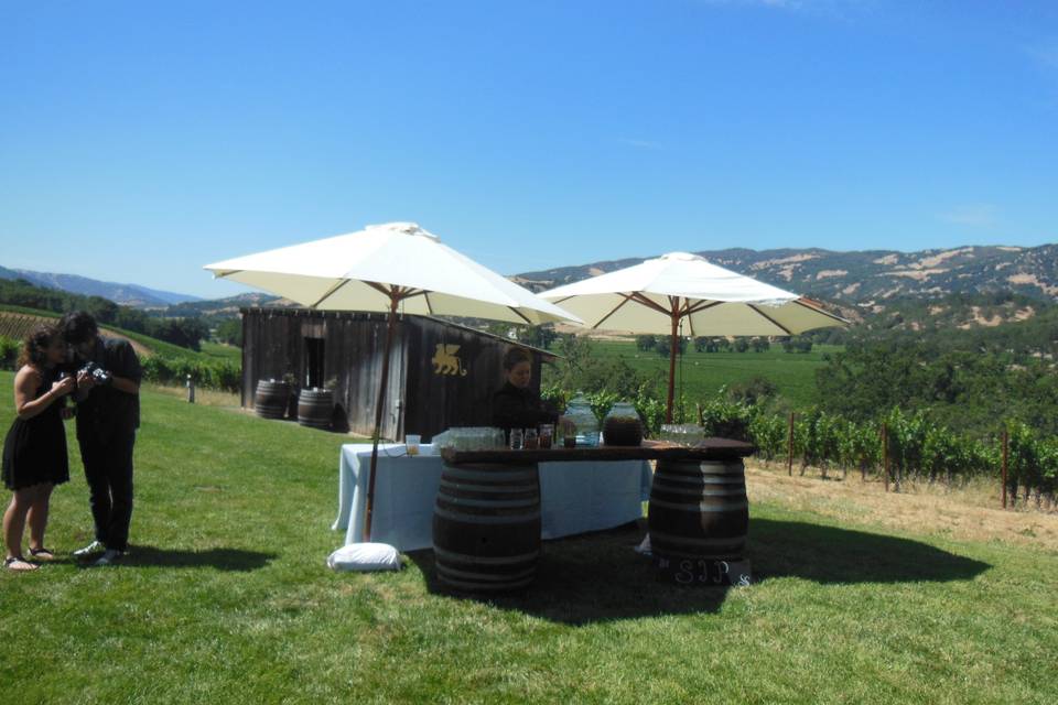 Monica Zumstein Event Management