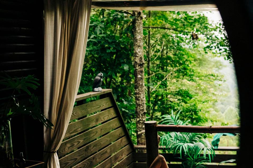 Unwind in the treetops