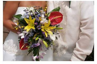 Candlewood Videography