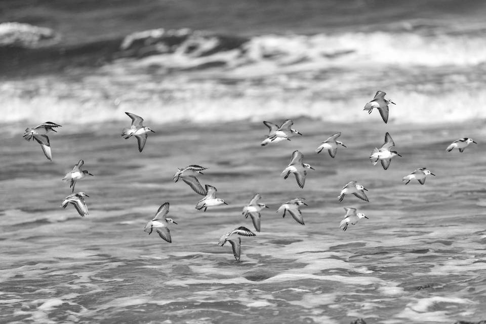 simon gentry photography