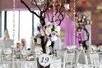 Dewdrop Special Events