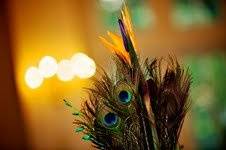 Dewdrop Special Events