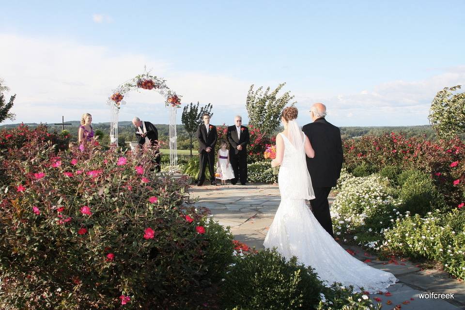 Bride with her escort