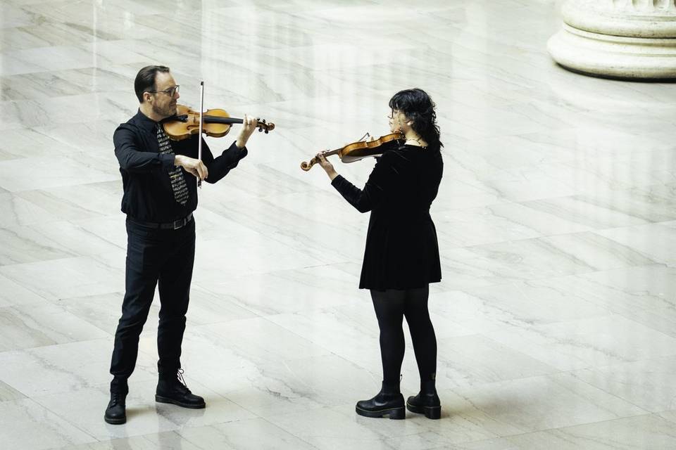 SKYLINE STRINGS linktr.ee/skyl