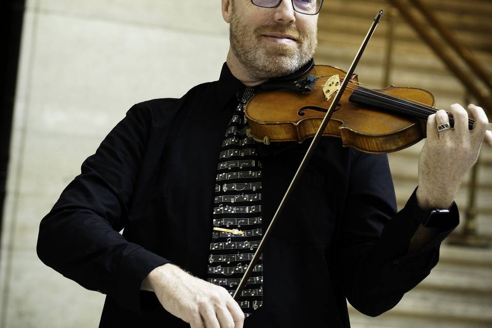 SKYLINE STRINGS linktr.ee/skyl