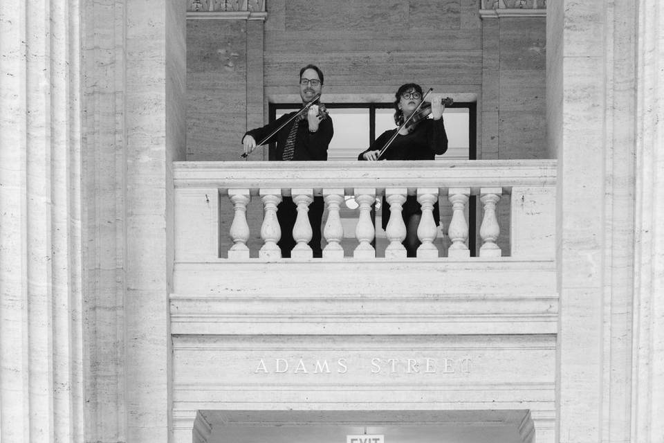 SKYLINE STRINGS linktr.ee/skyl