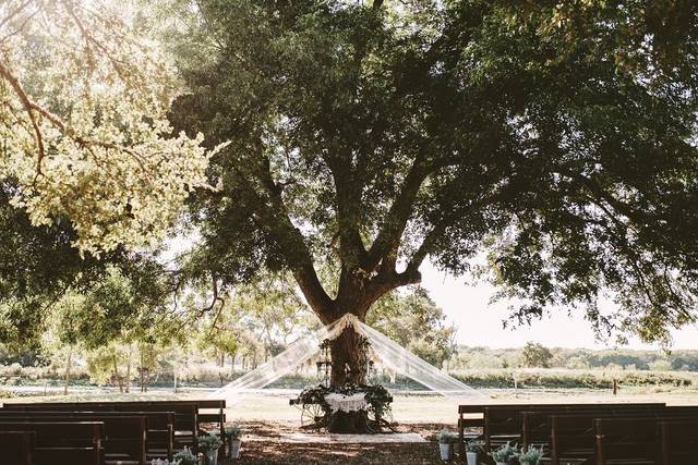 Old Bison Ranch