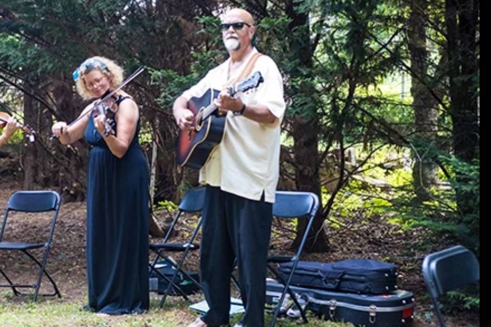 Violin harmonies