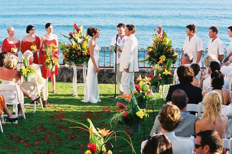 Todd Elliot Entertainment/Music/Dance Co. & Wedding Planning