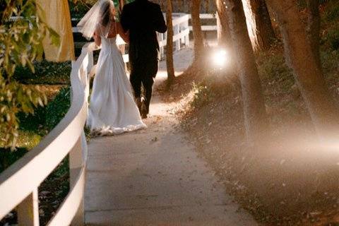 Todd Elliot Entertainment/Music/Dance Co. & Wedding Planning