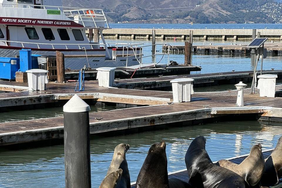 San Francisco, CA