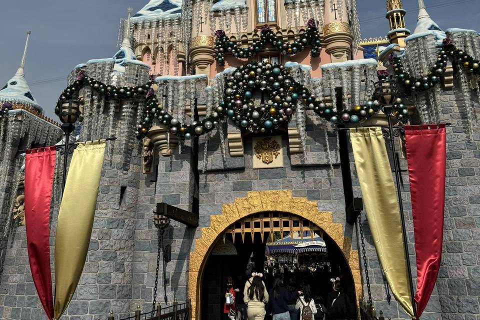 Disneyland Resort
