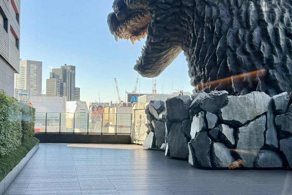 Tokyo, Japan