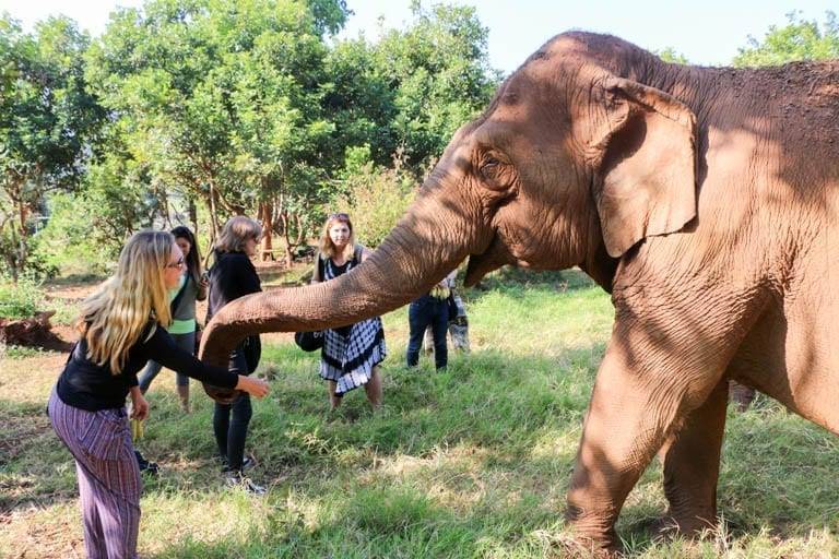 Elephant Sanctuary, Thailand