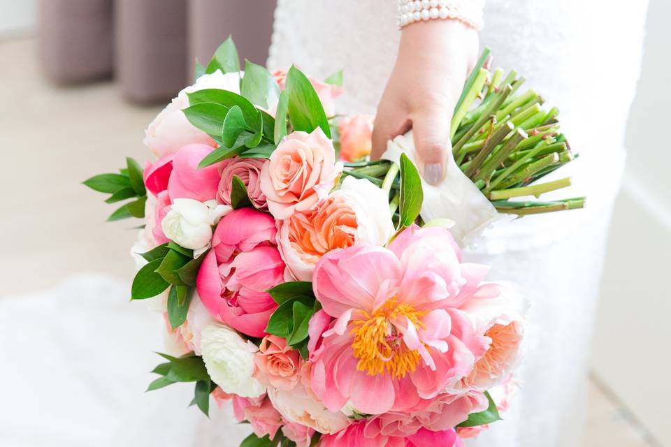 Coral Charm Peonies